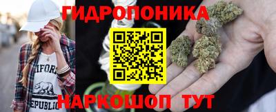 амф Ликино-Дулёво