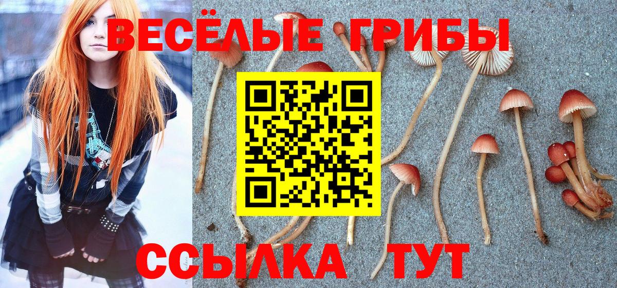 Галлюциногенные грибы Cubensis Каменск-Шахтинский