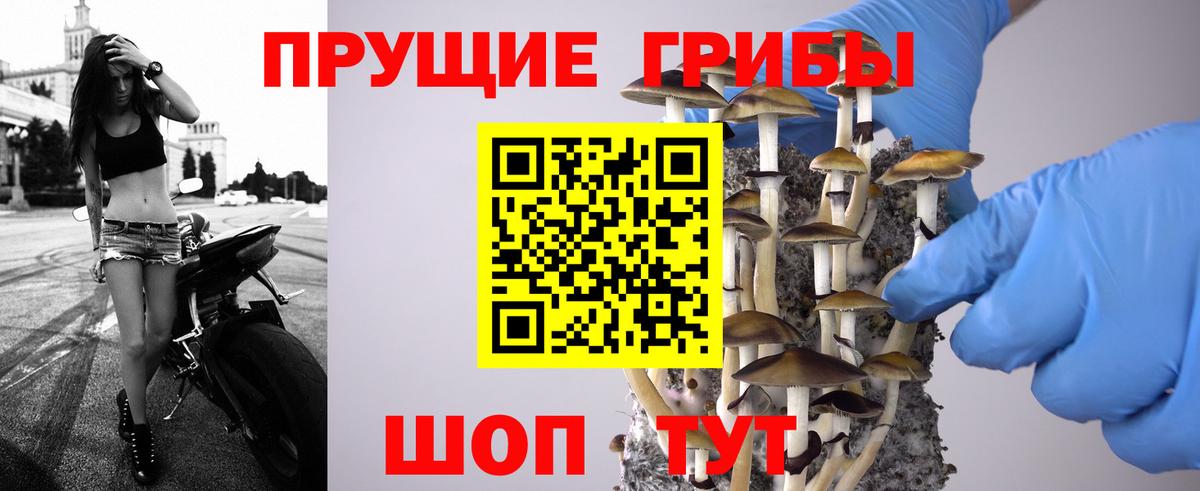 Каменск-Шахтинский  Псилоцибиновые грибы Psilocybe  Псилоцибиновые грибы Magic Shrooms  Вход с VPN 